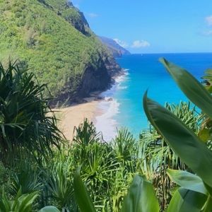 Meet your Posher, Natasha